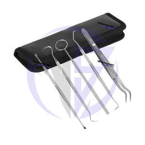 Nouveauté : Kit de 6 outils dentaires en acier inoxydable pour l'élimination du tartre et des taches, qualité supérieure, présenté dans un étui zippé. - Product Image 4
