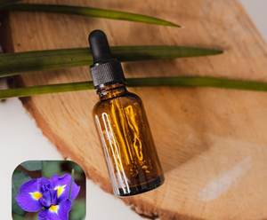 Aceite esencial de orris puro 100% Aceite esencial de orris al por mayor Aceite esencial de orris natural y puro - Product Image 2