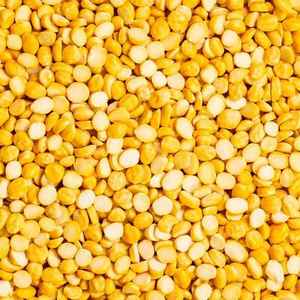Chana dal en vrac, nettoyé à la machine, texture ferme, goût terreux, riche en protéines, fibres et fer, offrant une durée de conservation d'un an - Product Image 6
