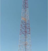 Tour de communication à antenne cellulaire omnidirectionnelle en acier galvanisé à chaud à 4 pieds, hauteur personnalisable, 2*n femelle