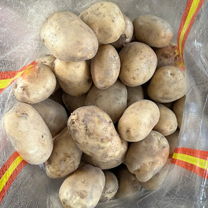 Pommes de terre fraîches de nouvelle récolte, vente en gros à prix bas, légumes frais - Product Image 1