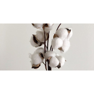 Nouveau tissu non tissé 100 % coton multicolore en gros pour le filage, le rembourrage, matière textile personnalisée de marque indienne - Product Image 5