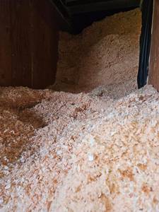 Sciure de bois de pin biologique propre, litière pour volailles, litière pour chevaux, stockage sec, stockage couvert, sciure de bois en vrac - Product Image 6