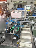 Ligne d'emballage YH entièrement automatique pour le comptage, le tri et l'emballage en cartons de sachets multiples de poudres, liquides et granulés