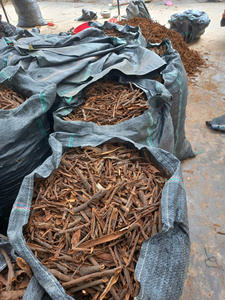 อบเชยจากรถราง - Product Image 2