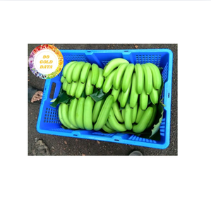 กล้วยสดปลูกตามธรรมชาติผลไม้เมืองร้อนของเวียดนามเหมาะสำหรับขายปลีกขายส่งบริการอาหารและบริโภคในแต่ละวัน - Product Image 4