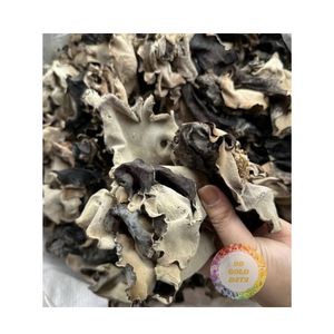 2025 VENTA SUPERIOR DE HONGOS SECOS AL POR MAYOR ENTREGA RÁPIDA DE HONGOS SECOS AL POR MAYOR PRECIO BARATO DE HONGOS SETAS EN NUBE A LA VENTA - Product Image 3