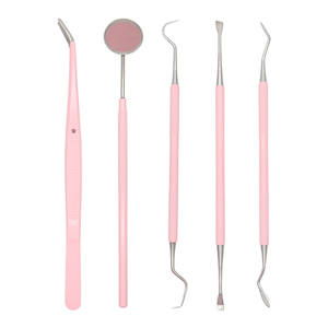 Instruments d'hygiène dentaire de haute qualité en acier inoxydable - Product Image 1