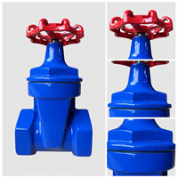 Vanne à opercule manuelle filetée en fonte ductile, joint souple Z15X-16Q PN16, tige non montante, tige en acier inoxydable 2Cr13, raccord femelle BSP NPT DN15-DN65, pour eau