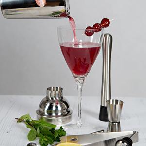 Juego de herramientas profesionales para coctelería, para preparar bebidas en fiestas y entretener invitados en casa, desde India. - Product Image 5