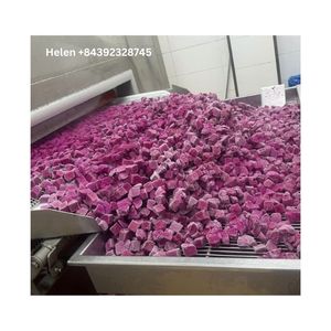 MEJOR PRECIO ALTA CALIDAD IQF FRUTA DEL DRAGÓN CONGELADO VIETNAM FRUTA CONGELADA TROPICAL VENTA CALIENTE 2025 PRECIO DIRECTO DE FÁBRICA FRUTA ROJA BLANCA - Product Image 5