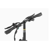 Bicicleta Eléctrica Urbana Plegable DYU T1 de 20 Pulgadas con Motor Central sin Escobillas de 250W, Batería de Litio Integrada de Aleación de Magnesio y Motor Trasero