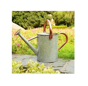 Pot d'eau en métal avec imprimé de roses au design élégant pour l'arrosage des plantes à un prix raisonnable - Product Image 6