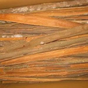 POUDRE DE CANNELLE SÉCHÉE BRUTE DE QUALITÉ SUPÉRIEURE, 100% NATURELLE, ORIGINE BRÉSIL, QUANTITÉ EN Vrac, SAIN, DURÉE DE CONSERVATION DE 2 ANS - Product Image 1