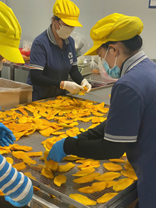 Giá sỉ xuất xưởng, không đường, xoài sấy khô Việt Nam, trái cây nhiệt đới sấy mềm, món ăn nhẹ tốt cho sức khỏe - Product Image 3