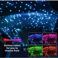 Car Styling DIY Auto Fiber Optic Lights Atmosphere Lamp Music Control Plafonniers RGB 64 Colors Car Starry Sky Light