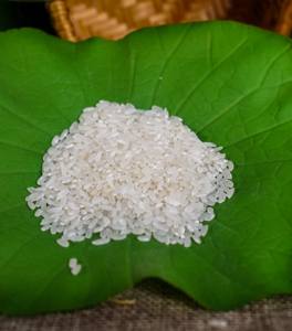 Arroz orgánico de grano medio de primera calidad, nutritivo, cultivado de manera sostenible, sin OMG, sin gluten, patrón largo, arroz vietnamita para uso alimentario - Product Image 6