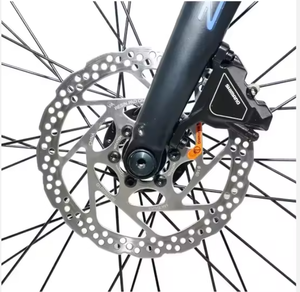 Vélo Électrique Urbain Femme en Promotion – Cadre en Alliage d'Aluminium Fabriqué en Chine, Vitesse Max 25km/h, Moteur Brushless 250/500W - Product Image 3