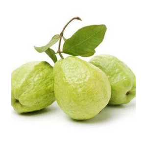 Goyave congelée pour les acheteurs mondiaux Fruits naturels sucrés emballés pour l'exportation du Vietnam Parfait pour les mélanges et les boissons de fruits congelés - Product Image 4