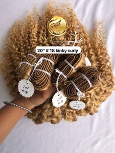 Qualité supérieure Vison cambodgien Temple indien Vierge 20 ''Couleur #18 Kinky Curly Colored Bundles Extension Fournisseur donneur unique - Product Image 5
