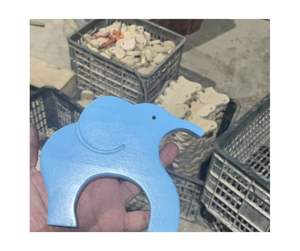 Jouets en bois animaux personnalisables pour les distributeurs éducatifs, jouets en bois de qualité de norme internationale pour l'école à la maison - Product Image 4