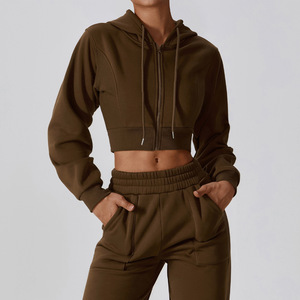 Sudaderas recortadas con logotipo personalizado Jogger Conjunto de 2 piezas Ropa de mujer, Tops cortos de gran tamaño Sudaderas con capucha y pantalones de chándal para mujer - Product Image 4