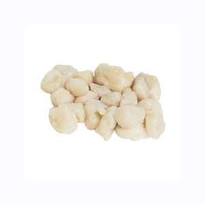 Viande de pétoncles surgelés de qualité supérieure BQF congelée origine américaine emballage en vrac de coquillages de haute qualité durée de conservation de 2 ans - Product Image 5