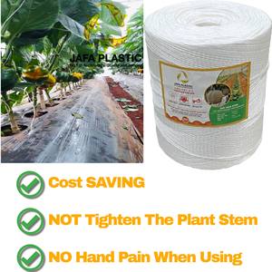 Durable Ecológico Verde Polipropileno Plástico Invernadero PP Hilo Agricultura Horticultura Embalaje Cuerdas Color Verde - Product Image 4