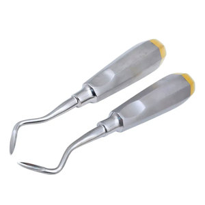 Elevador de Raíces Dentales Manual Profesional de Acero Inoxidable, Instrumento de Extracción Dental de la Mejor Calidad, Grado A+ - Product Image 3