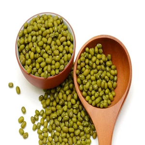 Fournisseur en gros de stocks frais en vrac de haricots mungo verts/haricots Moong entiers - Product Image 5