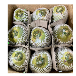 Noix de coco mature semi décortiquée du Vietnam pour l'exportation d'eau douce longue durée de conservation approvisionnement en gros - Product Image 6