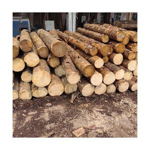 Madera de Teca de Origen Sostenible Jmarques Digital LTDA Diseño Moderno 1 Año de Garantía para Negocios Éticos Construcción Ecológica - Product Image 4