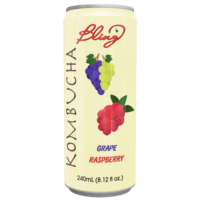 Jus de Kombucha Naturel Aromatisé en Gros Pastèque Menthe Prêt à Boire 240ml/320ml Purée ODM OEM Marque Privée Emballage en Boîte