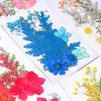 ZS014 Ensemble de fleurs séchées de qualité supérieure, pétales de fleurs séchées pour la fabrication de bougies en cire DIY pour Noël, décoration artisanale pour la maison
