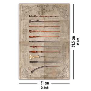 โปสเตอร์แฮร์รี่ พอตเตอร์ ไม้กายสิทธิ์เลือกผู้เชี่ยวชาญ - Product Image 2