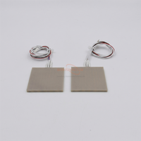 Chauffe-plateau personnalisé en AlN avec capteur thermocouple de type K intégré