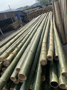 Tiges de bambou écologiques de haute qualité, abordables et polyvalentes pour tous les usages - Product Image 3