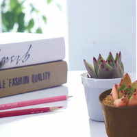 Vente en gros Prix compétitif Mini pots de plantes Pots de plantes ronds personnalisés depuis Vietnam Fabricant