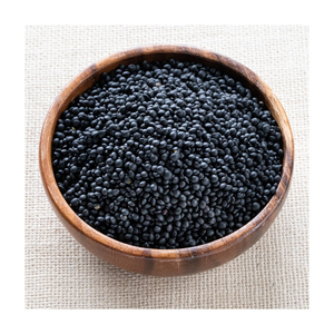 Lentilles béluga noires biologiques de haute qualité - Product Image 5