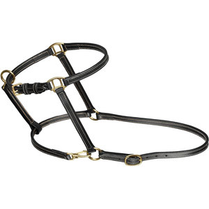 Fremont Totalmente ajustable Negro Cob Tamaño Caballo Halter Cuero sintético suave con herrajes de latón duraderos y costuras de contraste - Product Image 4