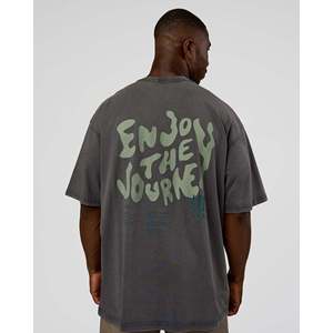 T-shirt surdimensionné Inferno Journey FLXCotton - Dark Storm Washed - Vert Iceberg Uni - Product Image 2