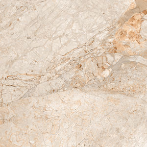 First Choice Collection Meilleur prix carreaux d'élévation asiatiques Fabrication en Inde pour urinoir wc. - Product Image 3