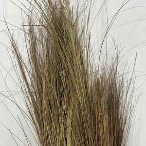 Bâtons de balai Midrib de noix de coco pour le ménage et l'extérieur - Product Image 1