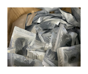 Premium Export <b>Fresh</b> Sea <b>Grape</b> From Vietnam - Caulerpa Lentillifera For Restaurant Supply And Seafood Salad Use - Product Image 2