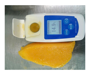 Fruits surgelés 100% variétés de mangues de qualité pure avec emballage personnalisable mangue congelée exportée - Product Image 1