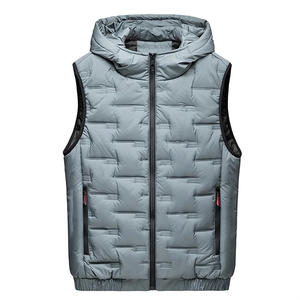 Chaqueta Acolchada de Plumón para Hombre de Alta Calidad con Capucha, Servicio OEM Personalizable, Chaleco Utilitario de Invierno de Tendencia - Product Image 1