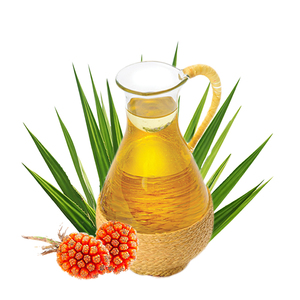 Nouvelle huile de kewra pure 100% biologique au prix de gros - Product Image 2