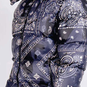 Fait sur mesure de haute qualité en gros Offre Spéciale doudoune d'extérieur pour hommes Veste en duvet à capuche tendance et élégante Veste en duvet respirante pour l'hiver - Product Image 5