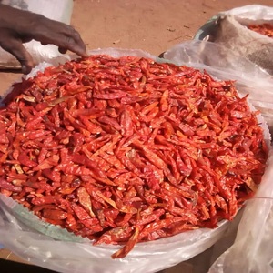 Piment rouge séché en tranches épicé chaud Vente en gros Exportation naturelle Livraison rapide en stock à bas prix - Product Image 2