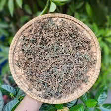 Thé Pouzolzia violet en gros, feuilles de thé authentiques d'origine vietnamienne, Mme May - Product Image 4